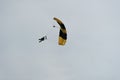 Parachutist in the sky on a cloudy day Royalty Free Stock Photo