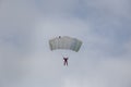 Parachutist on the white background