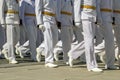 A group of naval officers of the Navy. Royalty Free Stock Photo