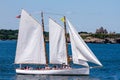 Parade of Sail, Newport, RI. Royalty Free Stock Photo