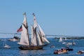 Parade of Sail, Newport, RI. Royalty Free Stock Photo