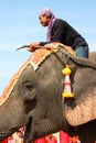 Parader in local sports festival season