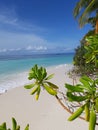 Paradisaic island, beach, ocean, tropical vegetation, sun - life is beautiful Royalty Free Stock Photo