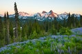 Paradise area at Mount Rainier National Park, USA Royalty Free Stock Photo