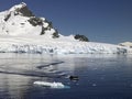 Paradise Bay - Antarctica