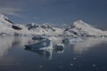 Paradise Bay, Antartica. Royalty Free Stock Photo
