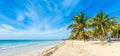 Paradise Beach also called Playa Paraiso at sunrise - beautiful and tropical caribbean coast of Tulum in Quintana Roo, Riviera Royalty Free Stock Photo