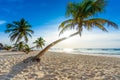 Paradise Beach also called Playa Paraiso at sunrise - beautiful and tropical caribbean coast of Tulum in Quintana Roo, Riviera Royalty Free Stock Photo