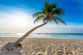 Paradise Beach also called Playa Paraiso at sunrise - beautiful and tropical caribbean coast of Tulum in Quintana Roo, Riviera Royalty Free Stock Photo