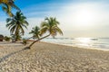 Paradise Beach also called Playa Paraiso at sunrise - beautiful and tropical caribbean coast of Tulum in Quintana Roo, Riviera Royalty Free Stock Photo