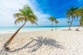 Paradise Beach (also known for Playa Paraiso) at sunny summer day - beautiful and tropical caribbean coast at Tulum in Quintana Royalty Free Stock Photo