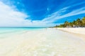 Paradise Beach (also known for Playa Paraiso) at sunny summer day - beautiful and tropical caribbean coast at Tulum in Quintana Royalty Free Stock Photo
