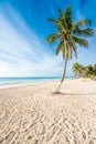 Paradise Beach (also known for Playa Paraiso) at sunny summer day - beautiful and tropical caribbean coast at Tulum in Quintana Royalty Free Stock Photo