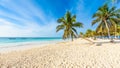 Paradise Beach (also known for Playa Paraiso) at sunny summer day - beautiful and tropical caribbean coast at Tulum in Quintana Royalty Free Stock Photo