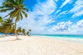 Paradise Beach (also known for Playa Paraiso) at sunny summer day - beautiful and tropical caribbean coast at Tulum in Quintana Royalty Free Stock Photo