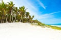 Paradise beach with beautiful palm trees - Caribbean sea in mexico, Tulum Royalty Free Stock Photo