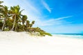 Paradise beach with beautiful palm trees - Caribbean sea in mexico, Tulum Royalty Free Stock Photo