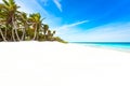 Paradise beach with beautiful palm trees - Caribbean sea in mexico, Tulum Royalty Free Stock Photo