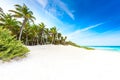 Paradise beach with beautiful palm trees - Caribbean sea in mexico, Tulum Royalty Free Stock Photo