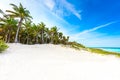 Paradise beach with beautiful palm trees - Caribbean sea in mexico, Tulum Royalty Free Stock Photo