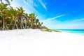 Paradise beach with beautiful palm trees - Caribbean sea in mexico, Tulum Royalty Free Stock Photo