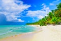 Paradise beach beautiful white sand with palm tree in the resort Royalty Free Stock Photo