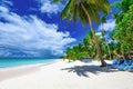 Paradise beach beautiful white sand with palm tree in the resort Royalty Free Stock Photo