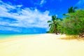 Paradise beach beautiful white sand with palm tree in the resort Royalty Free Stock Photo