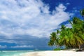 Paradise beach beautiful white sand with palm tree in the resort Royalty Free Stock Photo