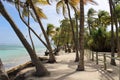 Paradise beach in Carribean Royalty Free Stock Photo