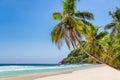 Paradise beach with coconut palms over white sand and turquoise sea on exotic island. Royalty Free Stock Photo