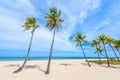 Paradise beach at Fort Lauderdale in Florida on a beautiful sumer day. Tropical beach with palms at white beach. USA. Royalty Free Stock Photo