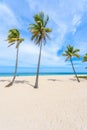 Paradise beach at Fort Lauderdale in Florida on a beautiful sumer day. Tropical beach with palms at white beach. USA Royalty Free Stock Photo