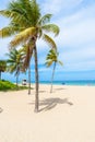 Paradise beach at Fort Lauderdale in Florida on a beautiful sumer day. Tropical beach with palms at white beach. USA Royalty Free Stock Photo