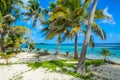 Paradise beach on island caye Carrie Bow Cay Field Station, Caribbean Sea, Belize. Tropical destination