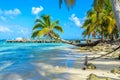 Paradise beach on island caye Carrie Bow Cay Field Station, Caribbean Sea, Belize. Tropical destination