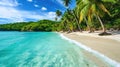 Paradise beach with palm trees, calm ocean, sunshine, and a blue sky in a panoramic banner. Ai Generated