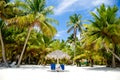 Paradise beach with palms and sunbeds Royalty Free Stock Photo