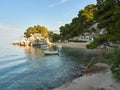 Paradise Beach Podrace surrounded by pine trees in the Croatian resort of Brela. Beautiful Adriatic Sea landscape Royalty Free Stock Photo