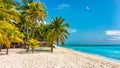 Paradise beach resort with palm trees and and tropical sea in Mauritius island. Summer vacation and tropical beach concept. Sandy Royalty Free Stock Photo