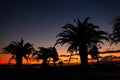 Paradise beach sunset tropical palm trees Royalty Free Stock Photo