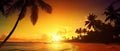 Paradise beach sunset tropical palm trees . Travel promotion banner template . Vacation and holiday island beach Generative AI Royalty Free Stock Photo