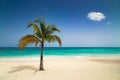 Paradise beach with white sand, azure water and palm tree branches over blue sky.