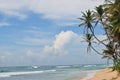 The paradise beaches of Sri Lanka. The sea beach of Sri Lanka. Palm trees, coconuts, white sand, ocean. Royalty Free Stock Photo