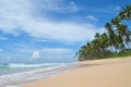 Beaches of Sri Lanka. The sea beach of Sri Lanka. Palm trees, coconuts, white sand, ocean. Royalty Free Stock Photo