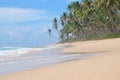 Beaches of Sri Lanka. The sea beach of Sri Lanka. Palm trees, coconuts, white sand, ocean. Royalty Free Stock Photo