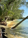 Paradise Beautiful Ao Tapao Beach Koh Kood Kut Island Peaceful Tranquil Royalty Free Stock Photo