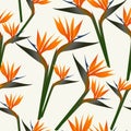 Paradise bird flower pattern Royalty Free Stock Photo
