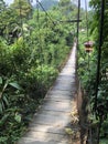 The Paradise Bridge in Tangkahan