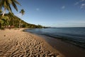 Paradise carribean beach Royalty Free Stock Photo